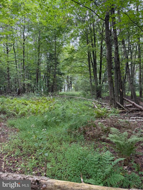 0 OLD ORCHARD LANE