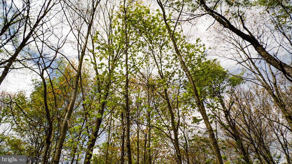 Lot Off Tyrone Pike PIKE