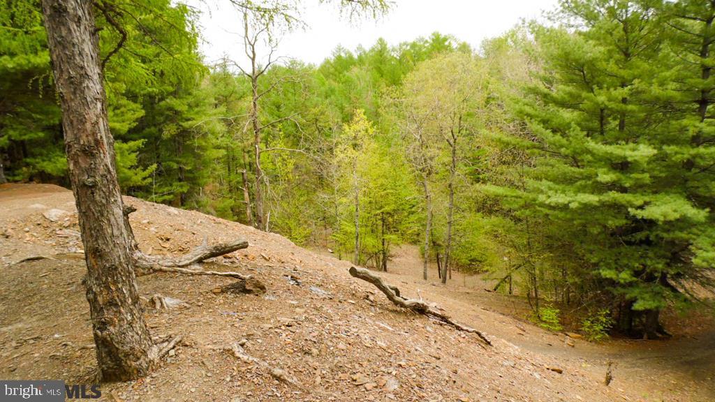 Lot Off Tyrone Pike PIKE