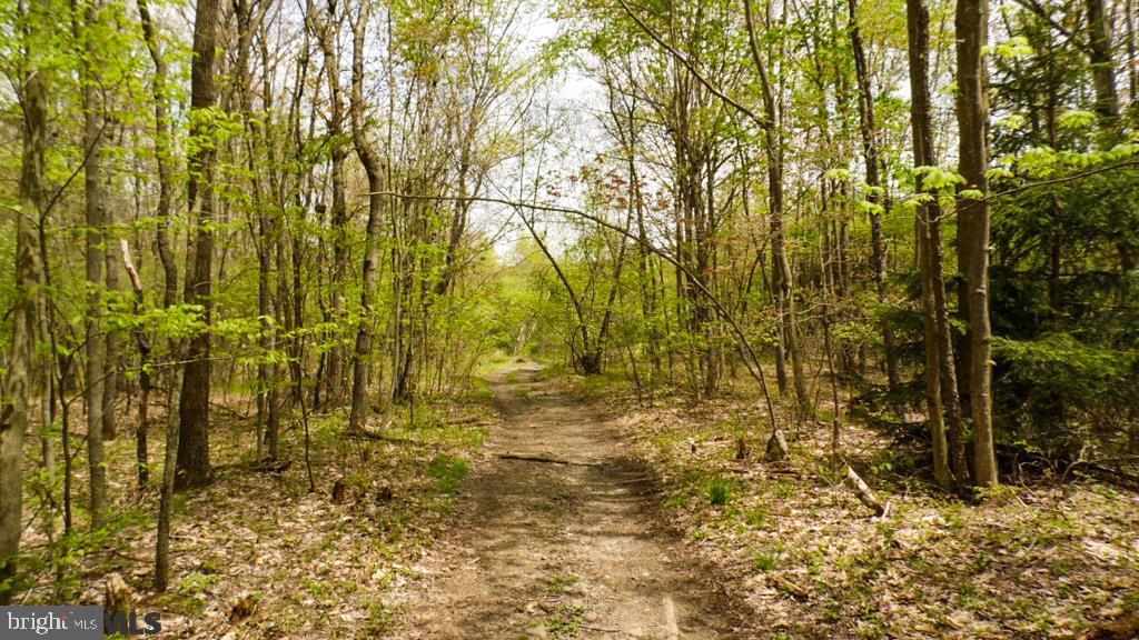 Lot Off Tyrone Pike PIKE