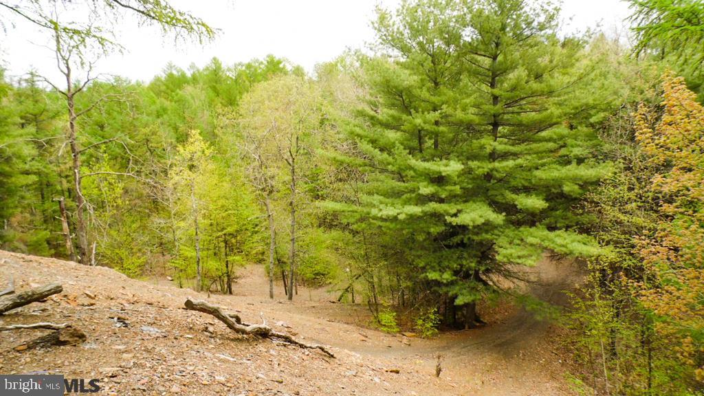 Lot Off Tyrone Pike PIKE