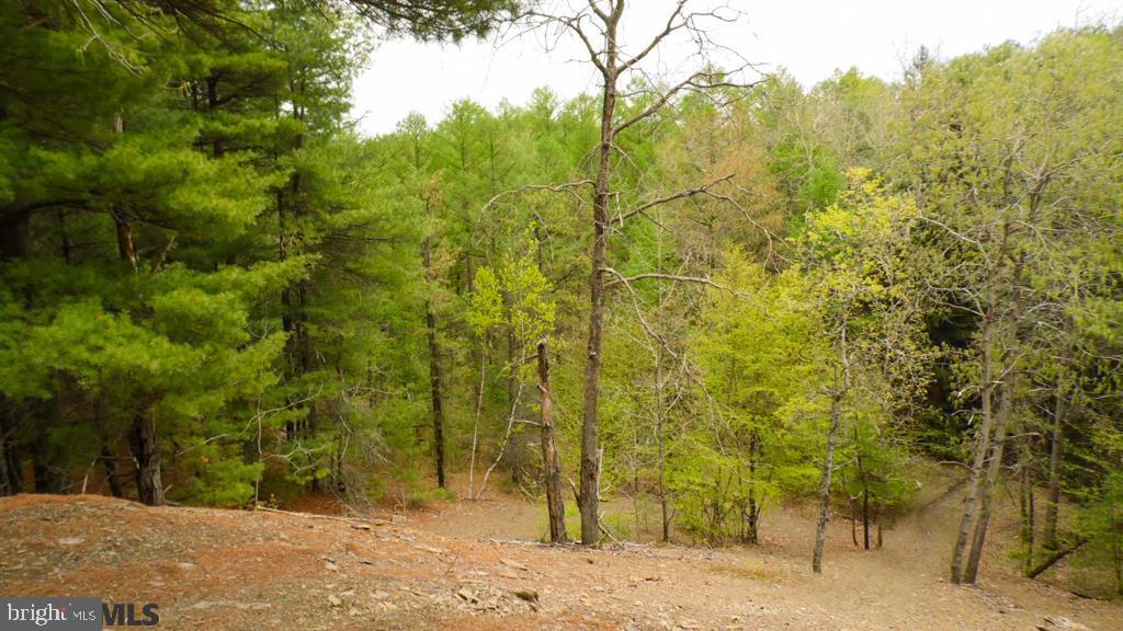 Lot Off Tyrone Pike PIKE