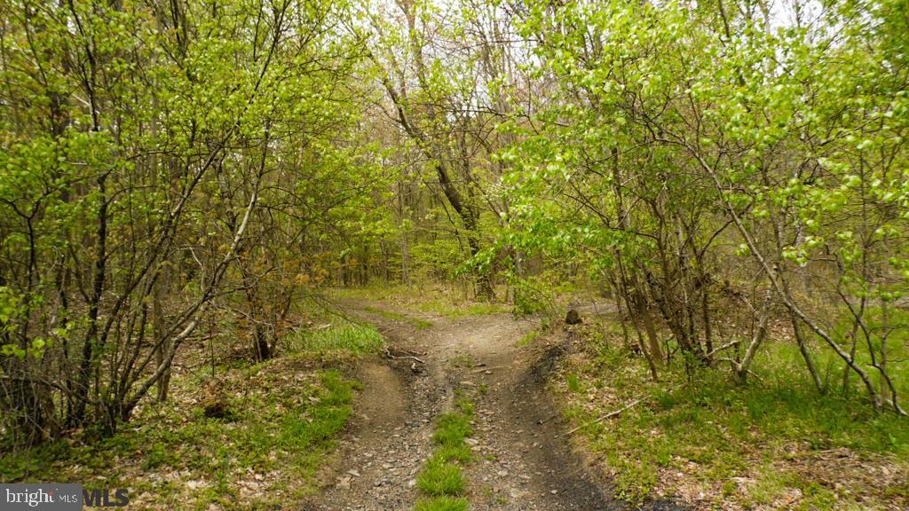 Lot Off Tyrone Pike PIKE