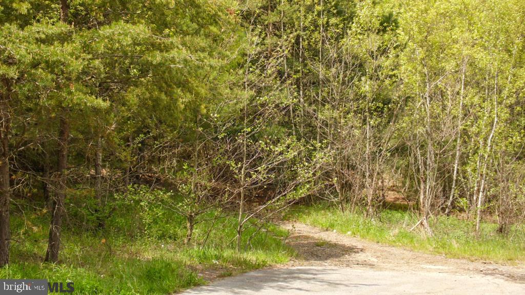 Lot Off Tyrone Pike PIKE