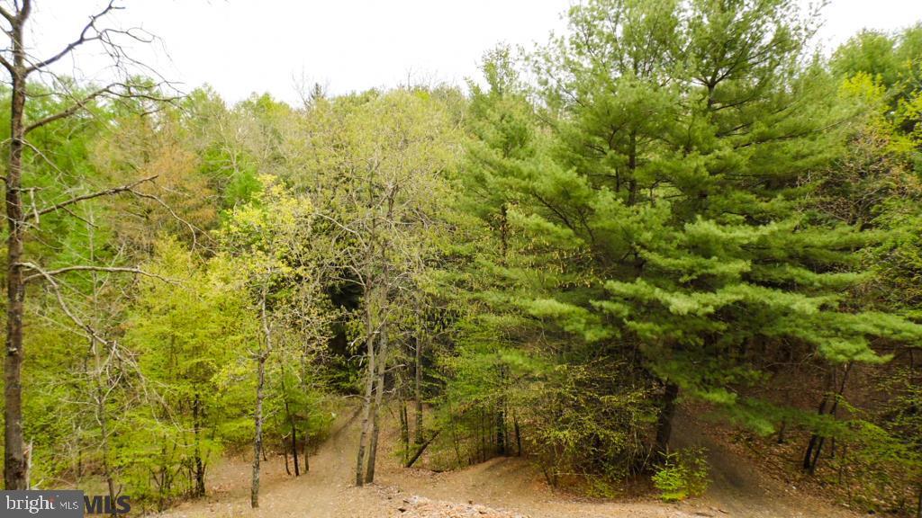 Lot Off Tyrone Pike PIKE