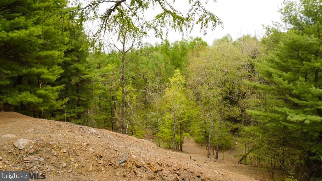 Lot Off Tyrone Pike PIKE