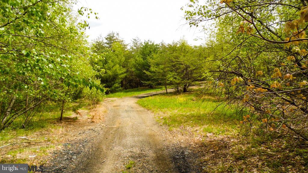 Lot Off Tyrone Pike PIKE
