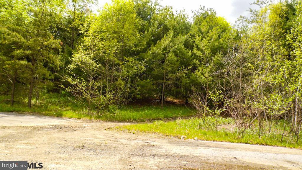 Lot Off Tyrone Pike PIKE