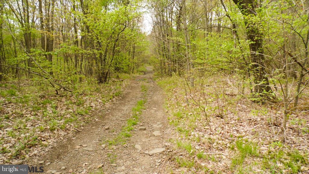Lot Off Tyrone Pike PIKE