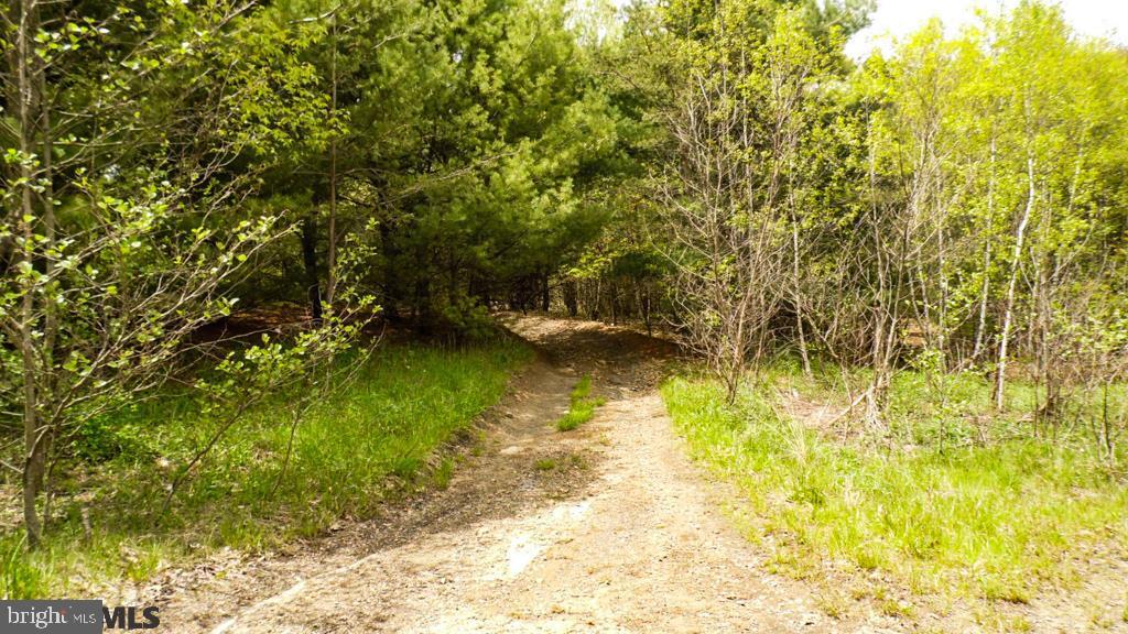 Lot Off Tyrone Pike PIKE