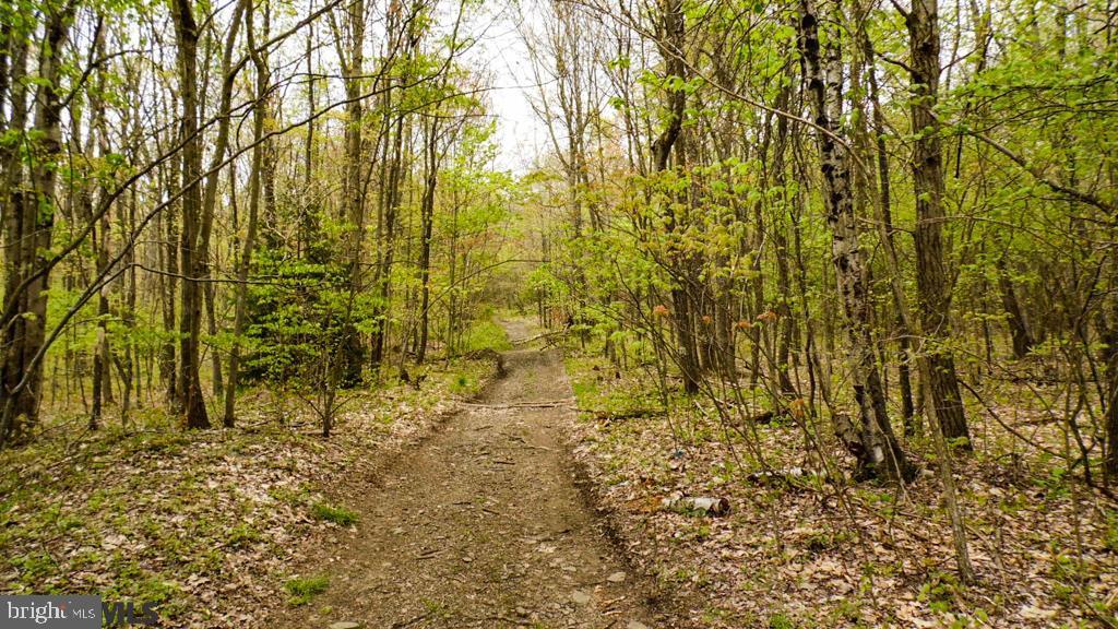 Lot Off Tyrone Pike PIKE