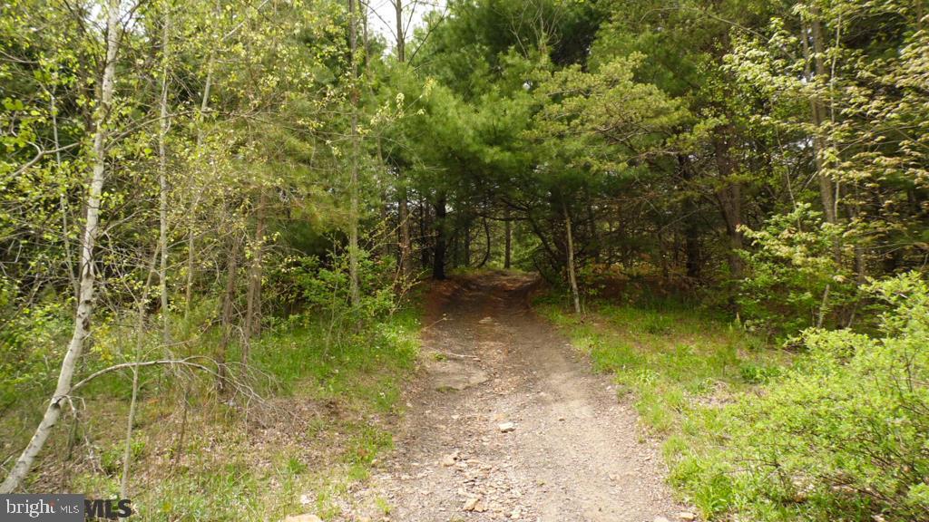 Lot Off Tyrone Pike PIKE