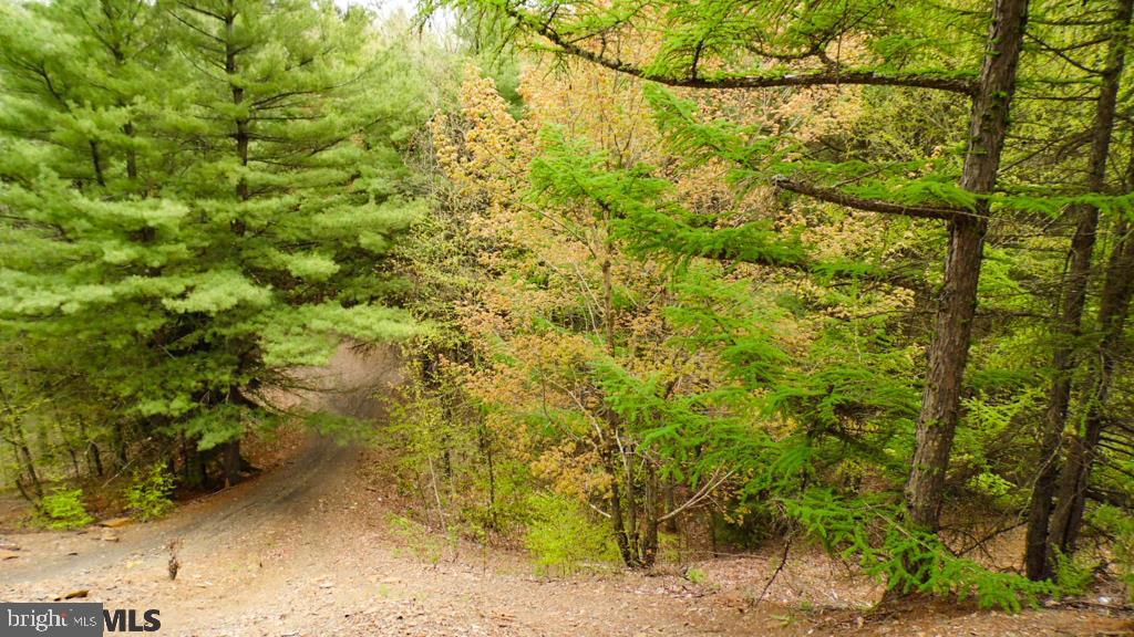 Lot Off Tyrone Pike PIKE