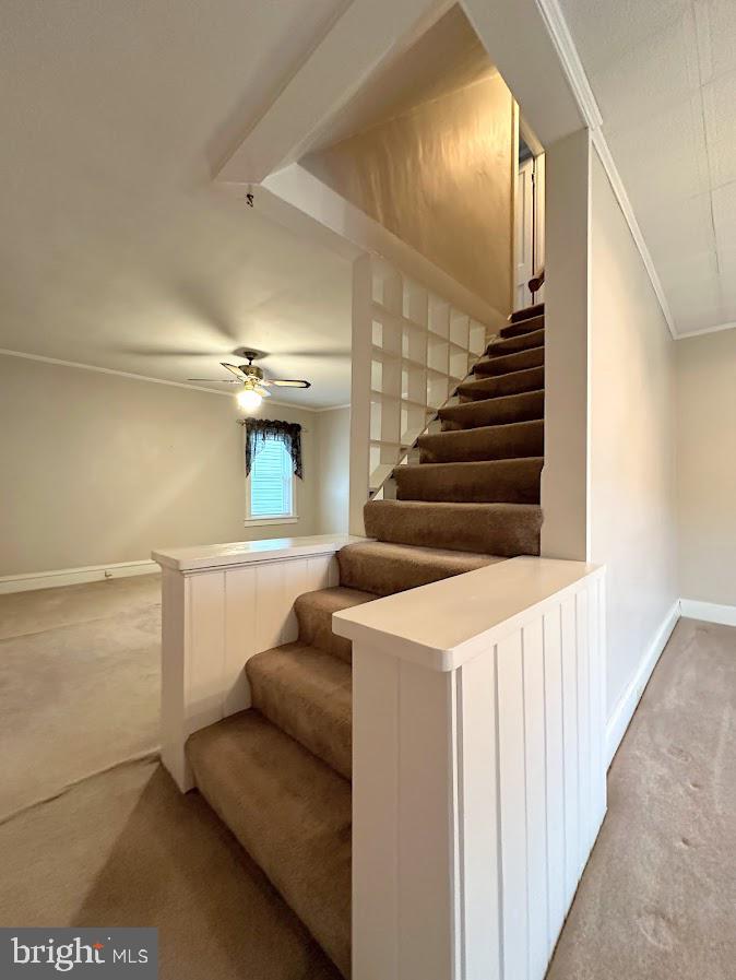 516 Walnut STREET