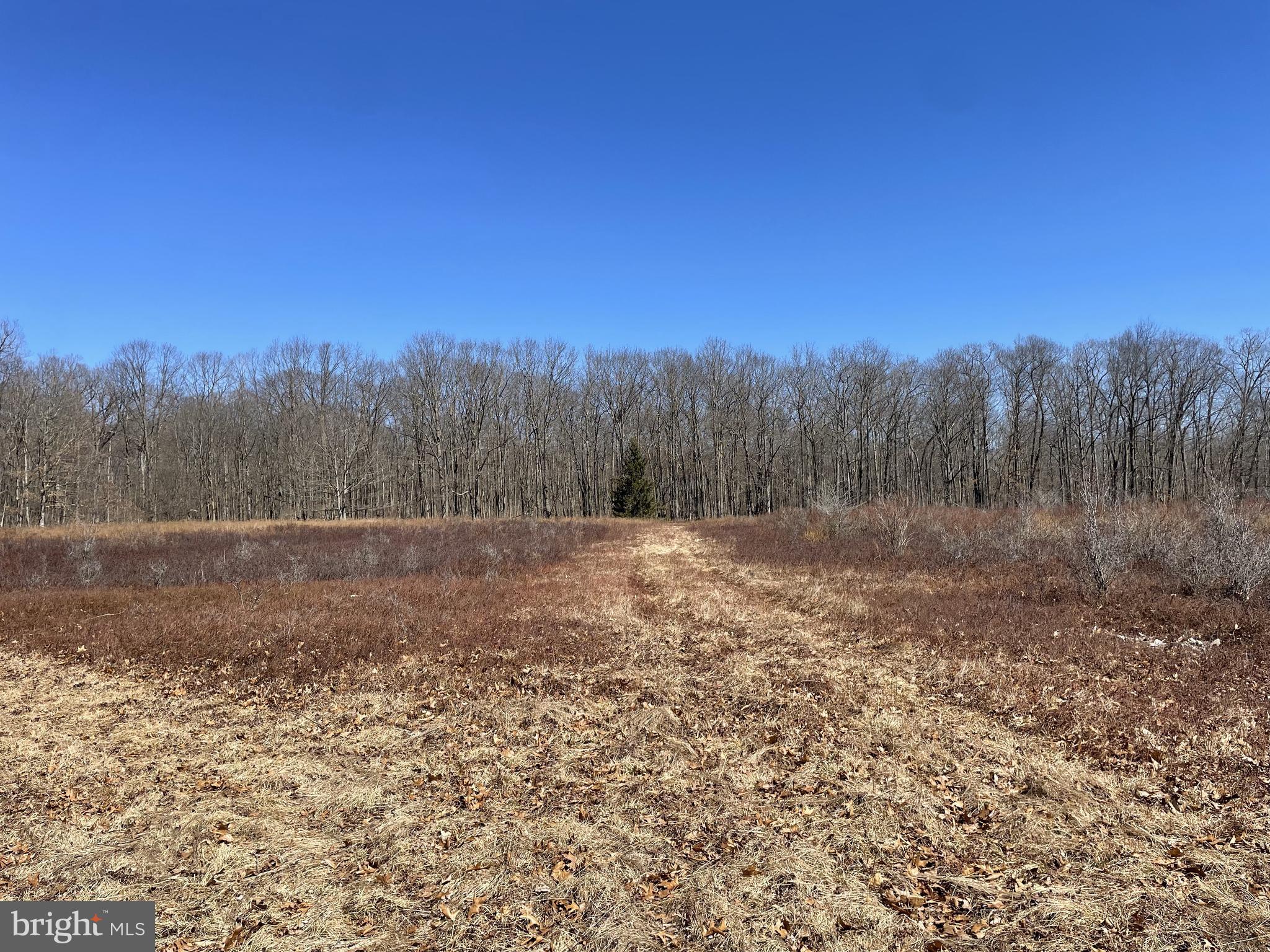 Land On Black Moshannon Rd