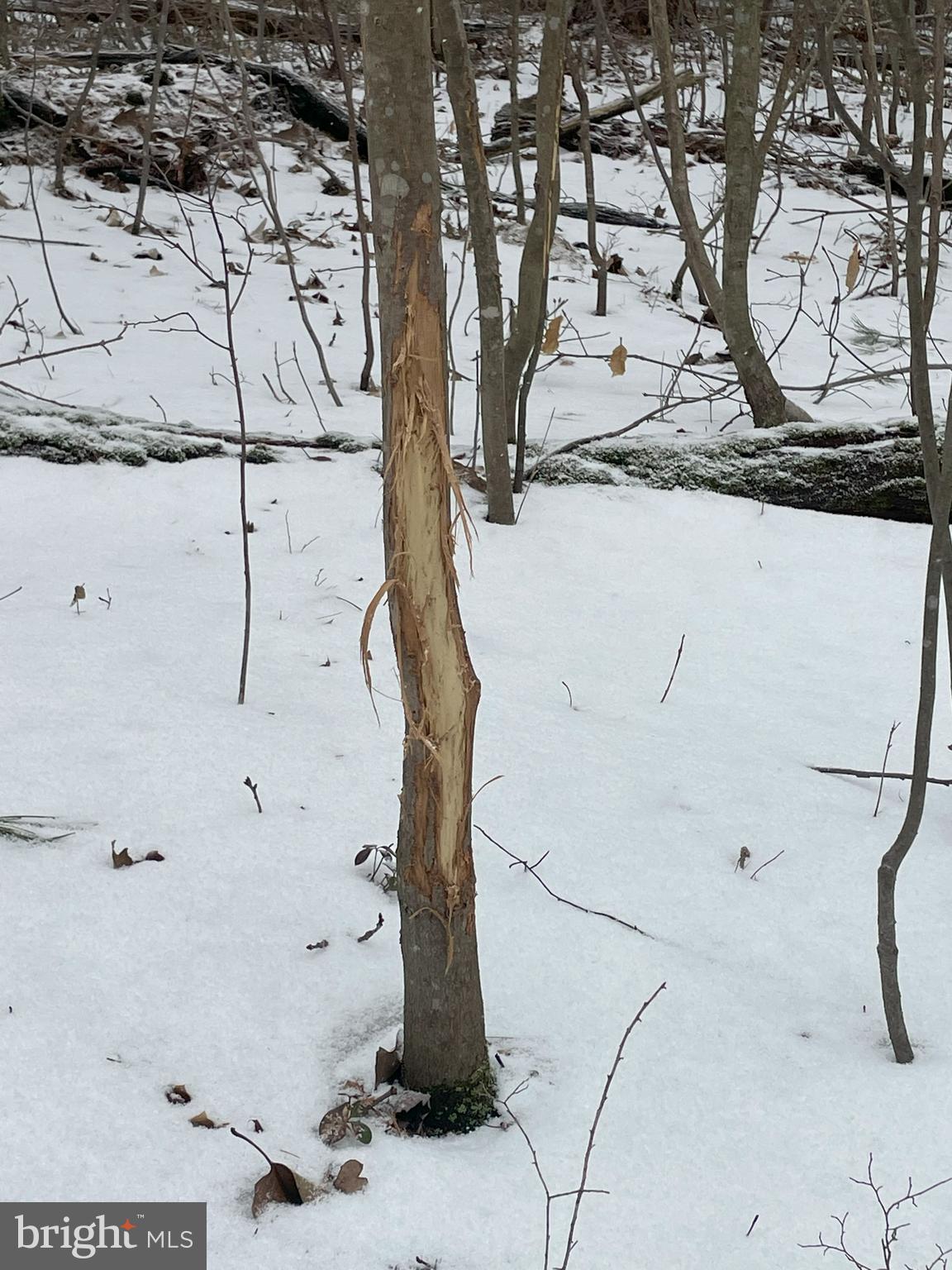 Land On Black Moshannon Rd