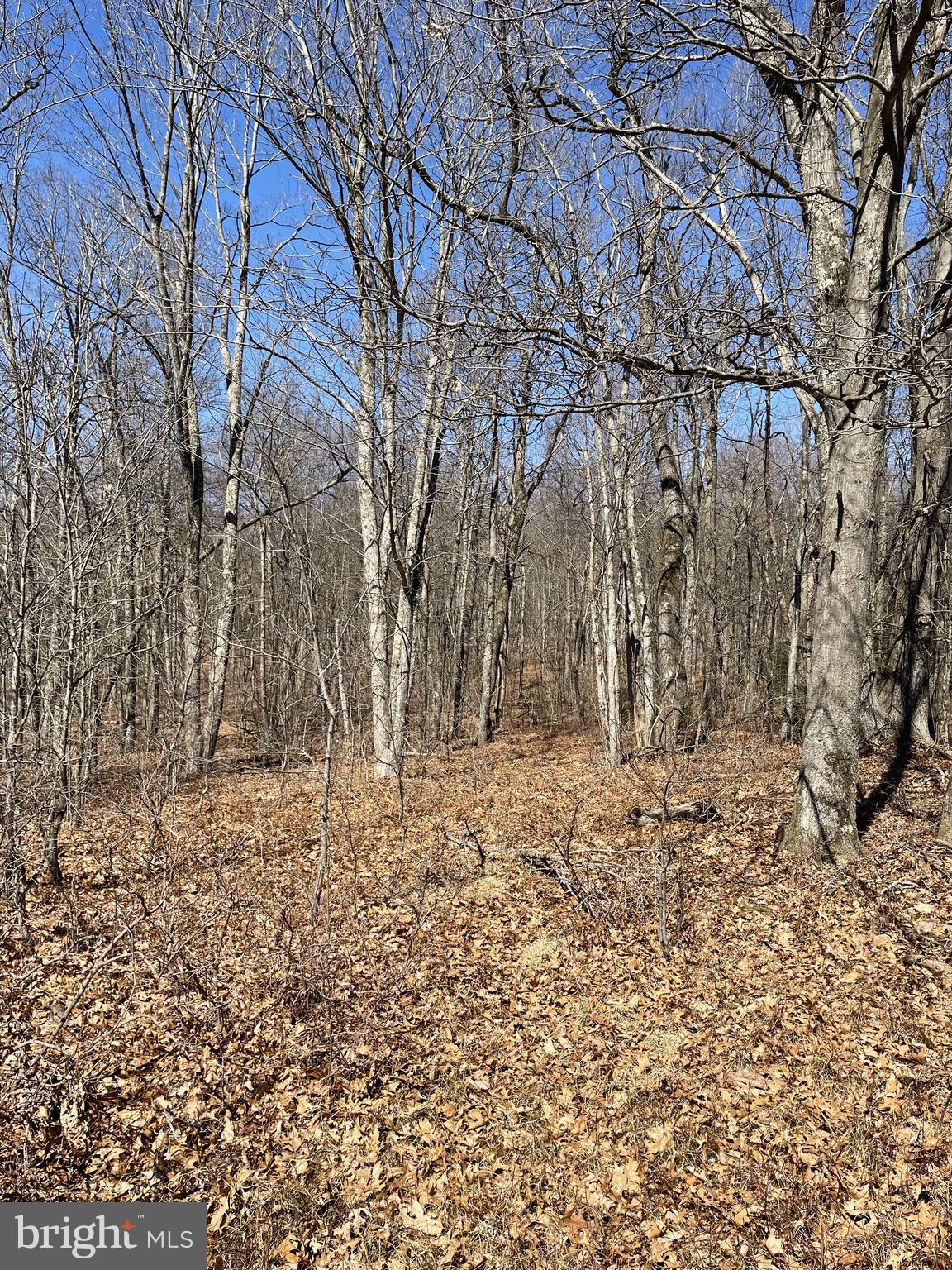 Land On Black Moshannon Rd