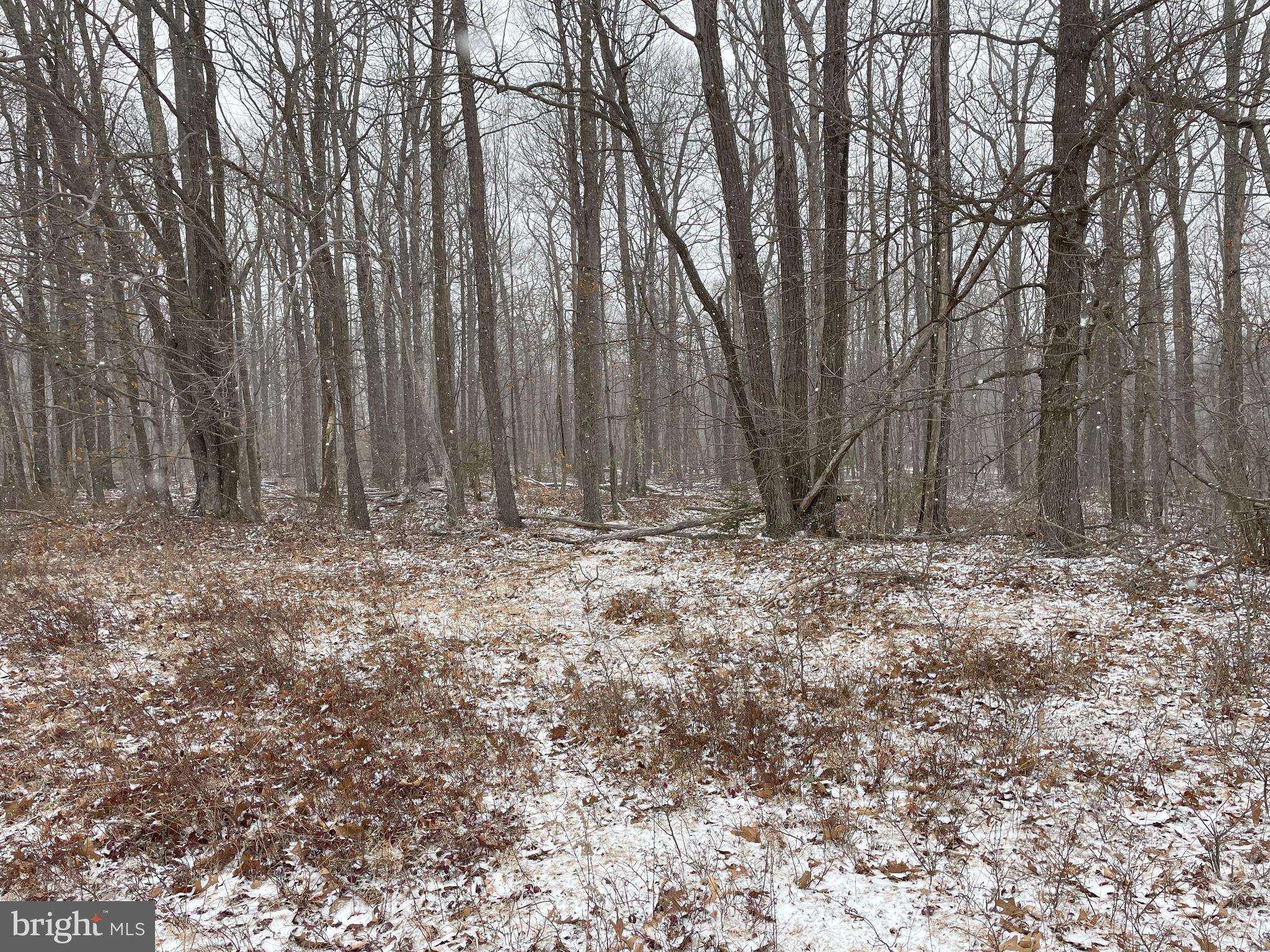 Land On Black Moshannon Rd