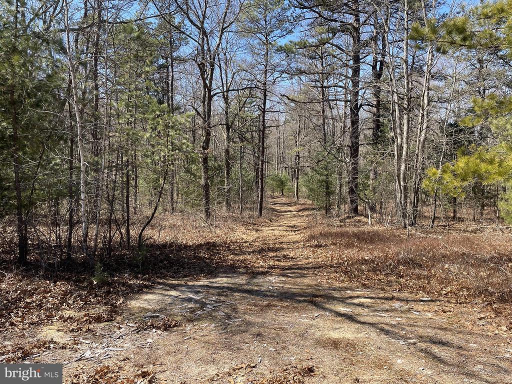 Land On Black Moshannon Rd