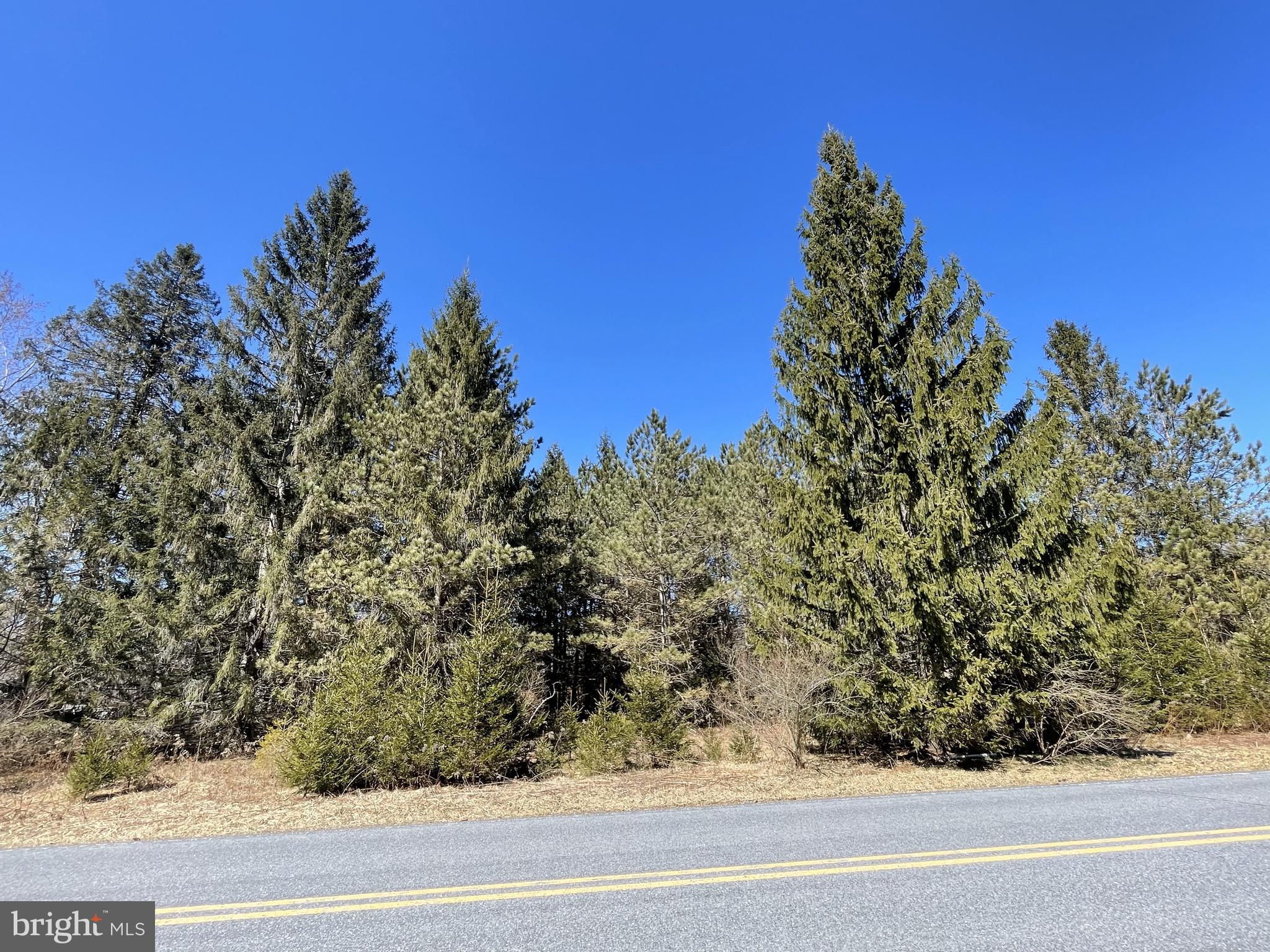 Land On Black Moshannon Rd