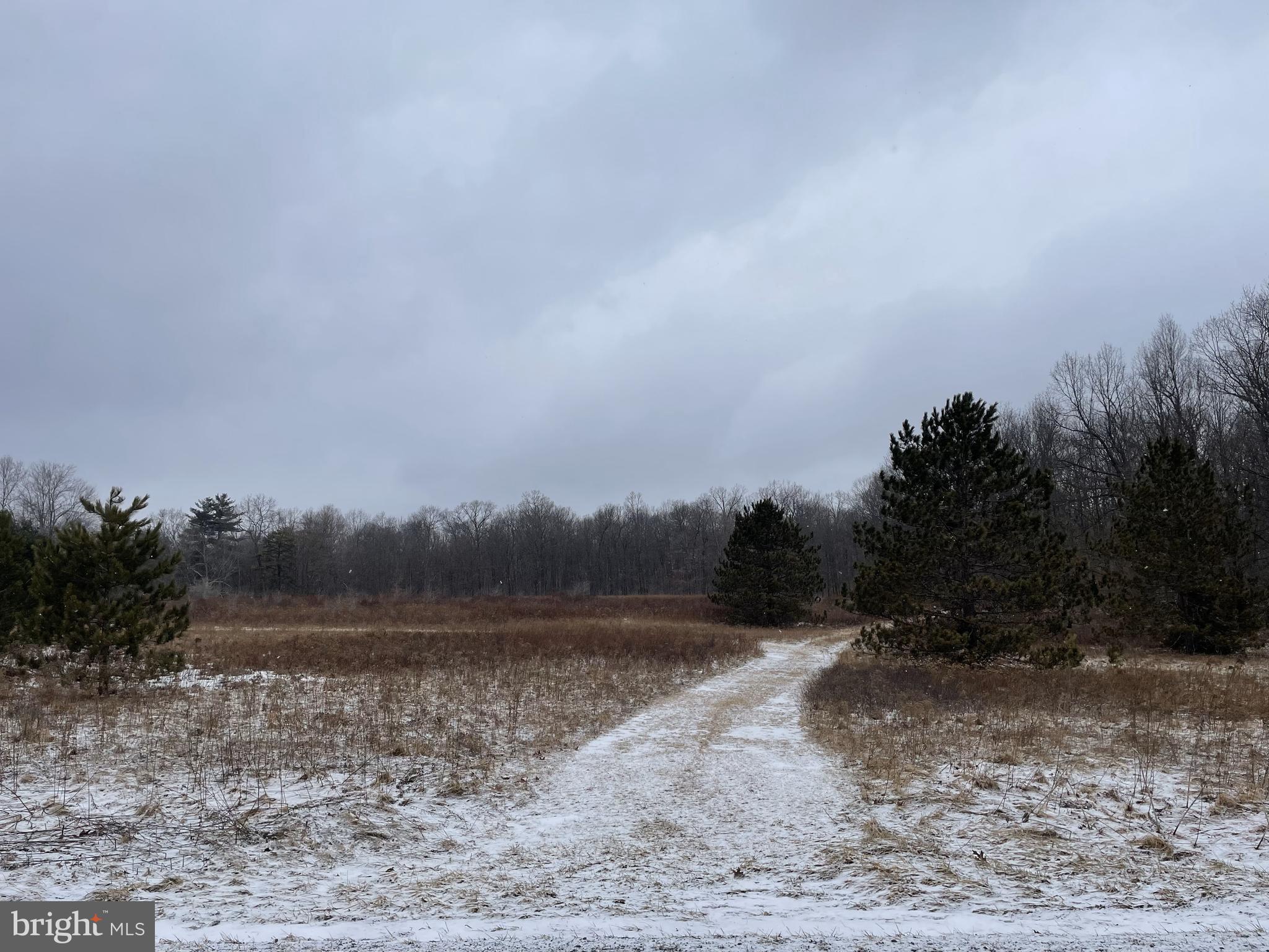 Land On Black Moshannon Rd