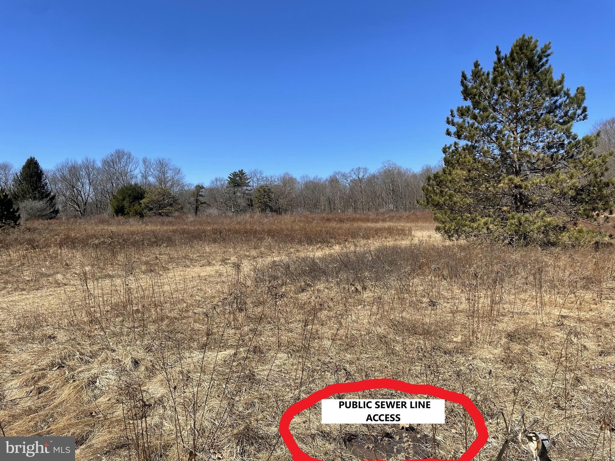 Land On Black Moshannon Rd