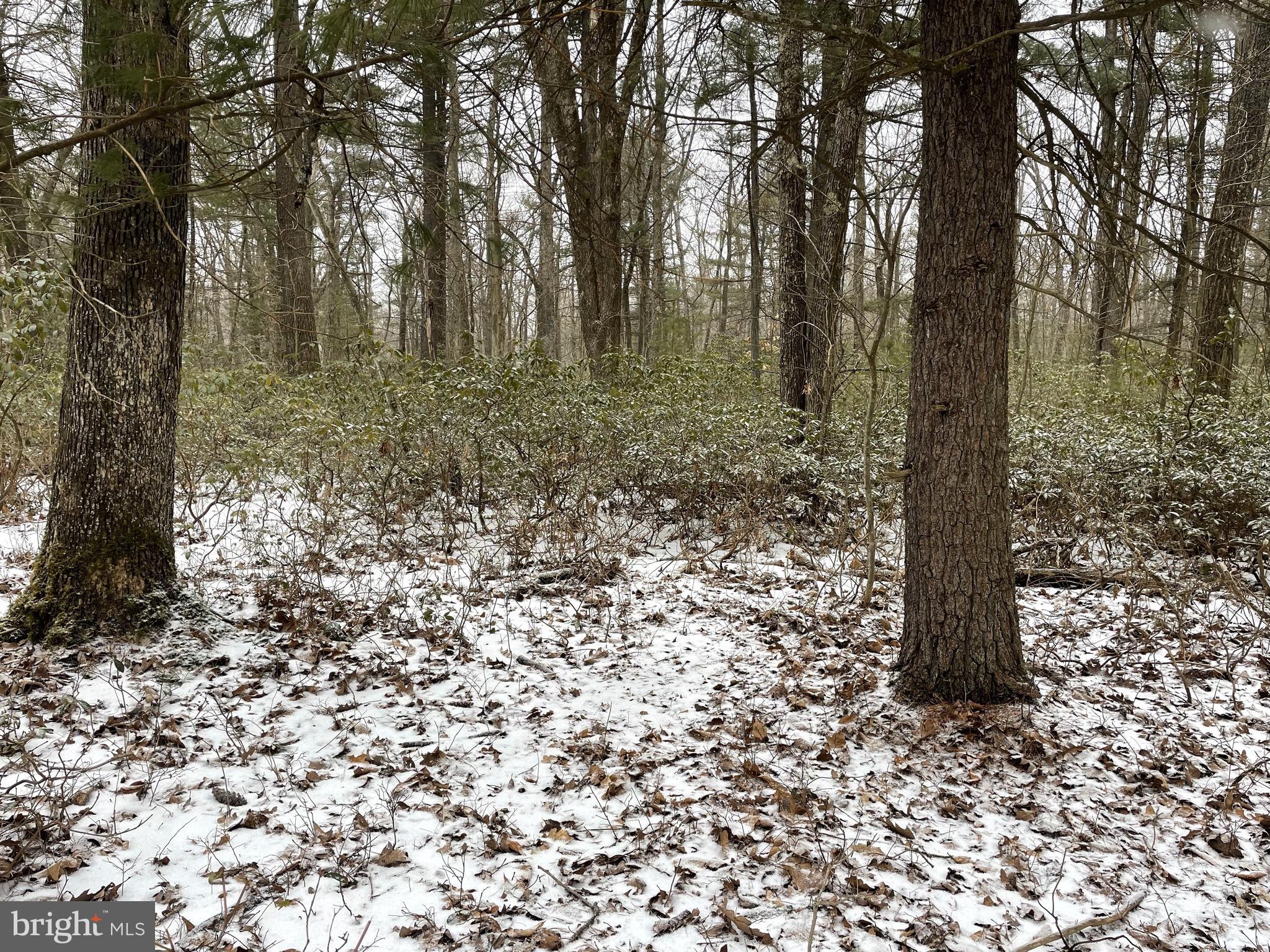 Land On Black Moshannon Rd