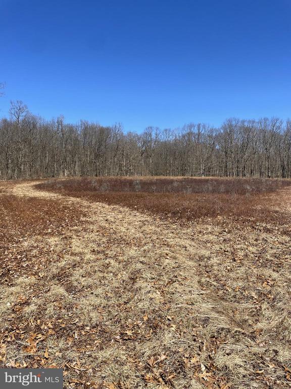 Land On Black Moshannon Rd