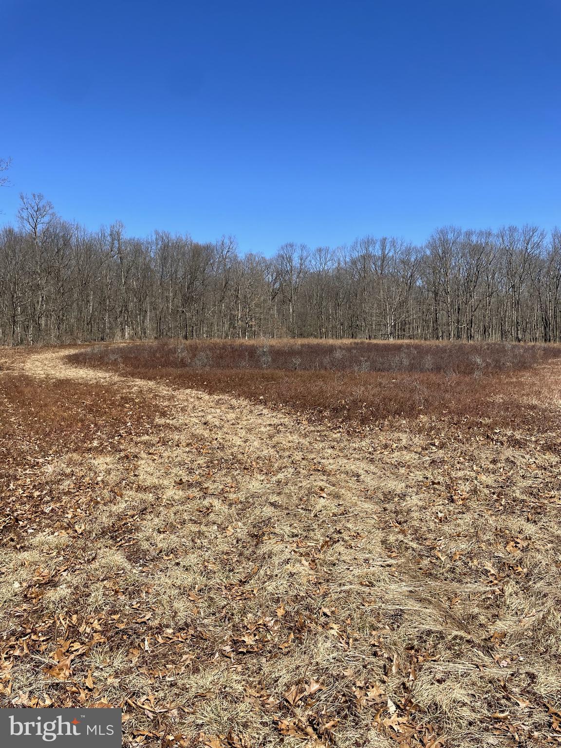 Land On Black Moshannon Rd