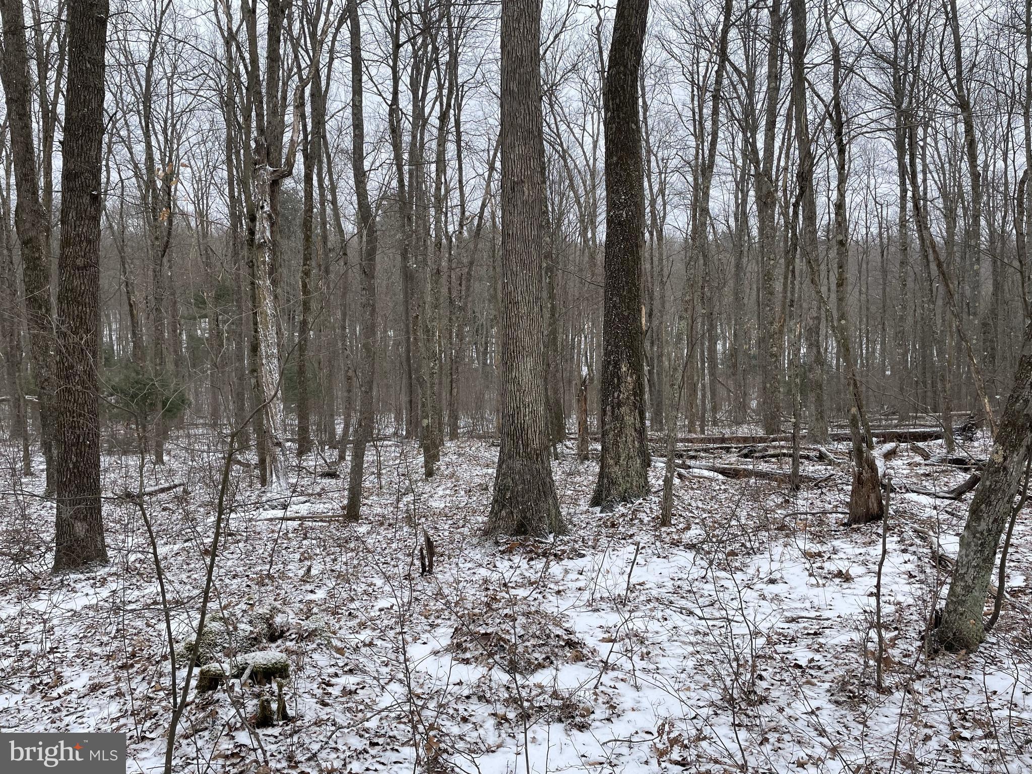 Land On Black Moshannon Rd