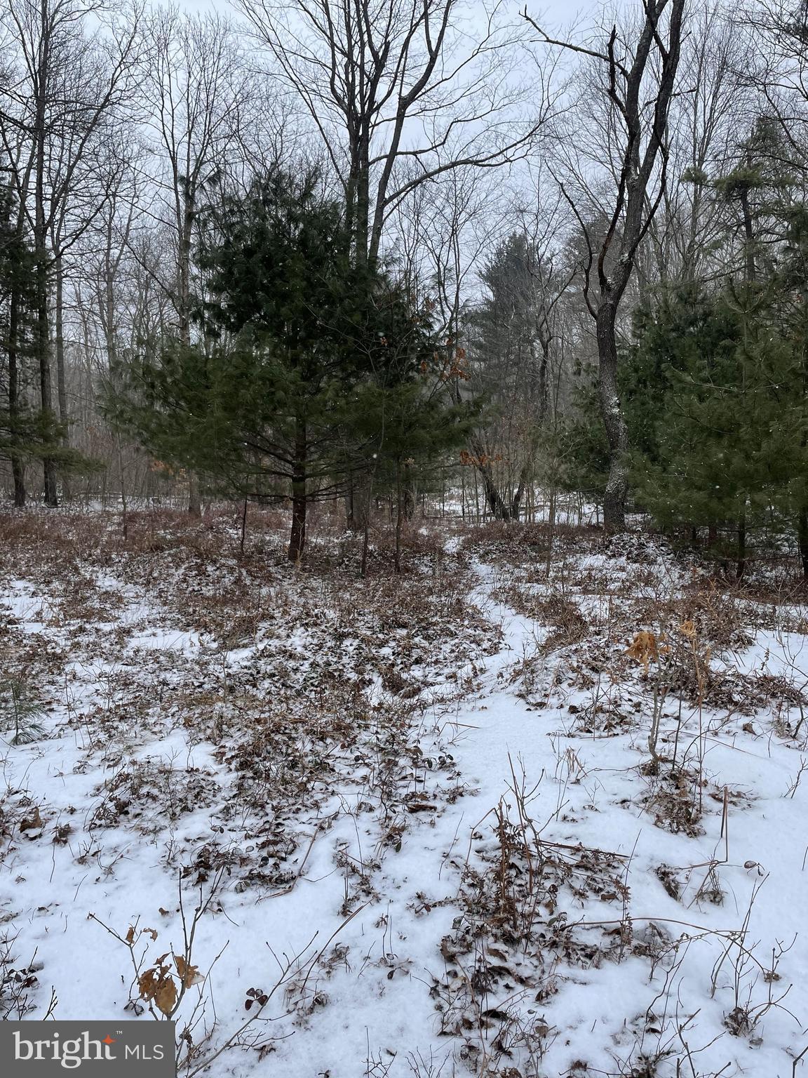 Land On Black Moshannon Rd