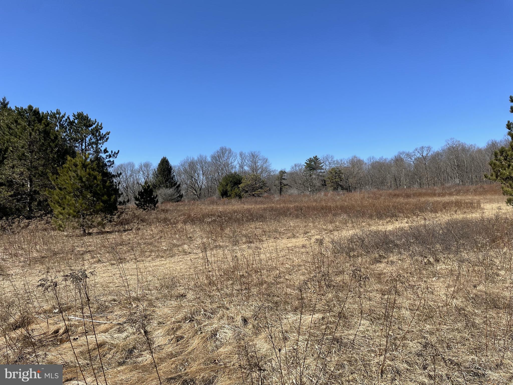 Land On Black Moshannon Rd