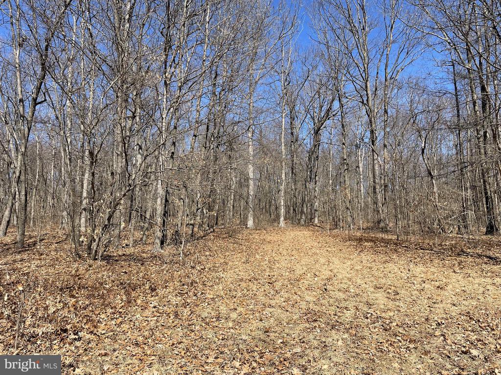 Land On Black Moshannon Rd