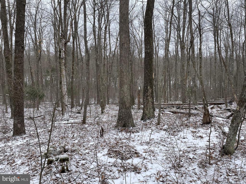 Land On Black Moshannon Rd