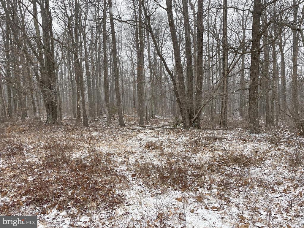 Land On Black Moshannon Rd