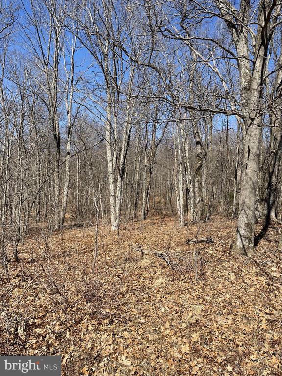 Land On Black Moshannon Rd