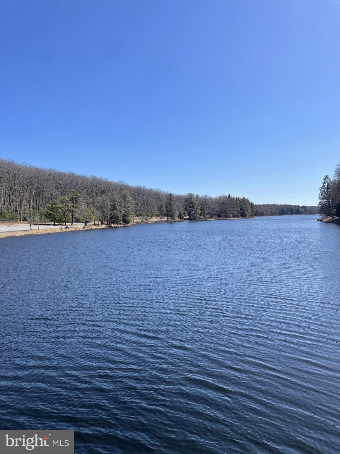 Land On Black Moshannon Rd