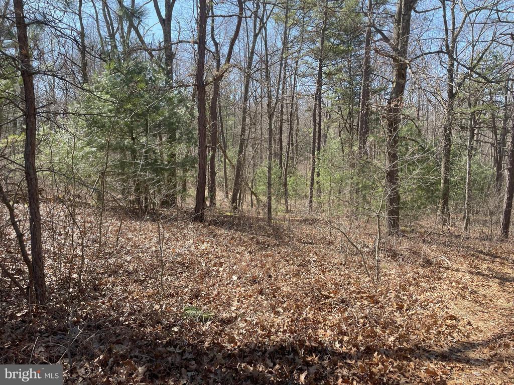 Land On Black Moshannon Rd