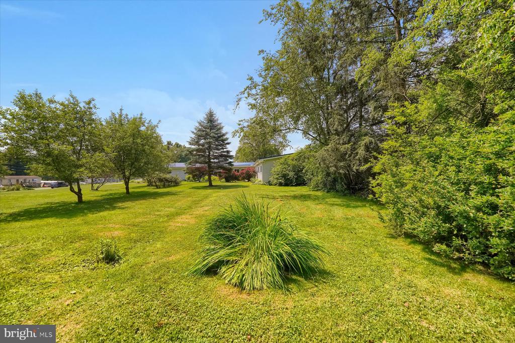 159 SYCAMORE DRIVE