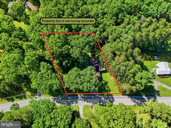 3546 BLACK MOSHANNON ROAD