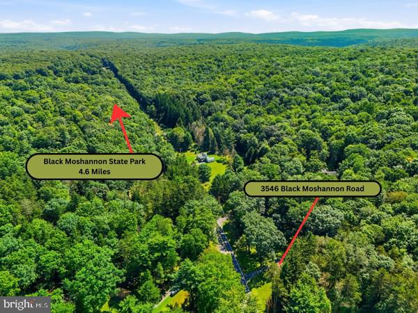 3546 BLACK MOSHANNON ROAD