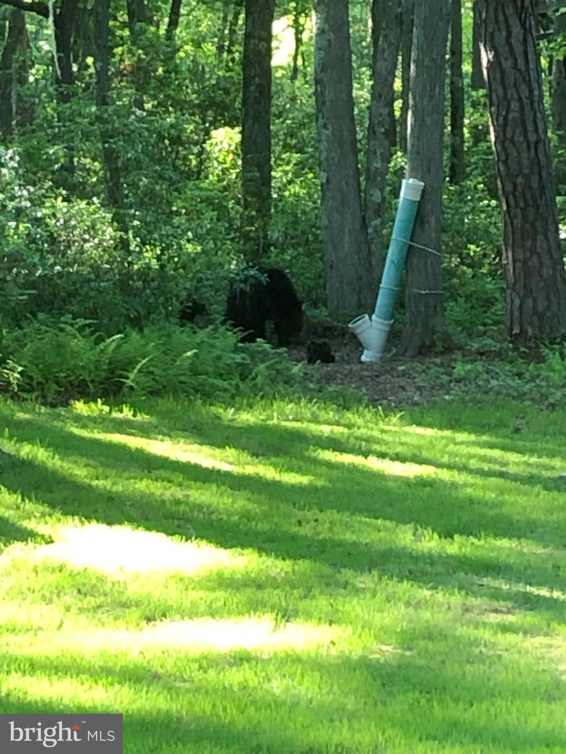 26 BIG HILL ROAD LOT 70