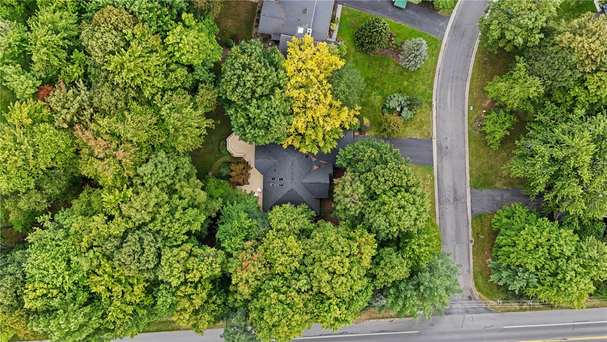 1226 Stafford Crescent