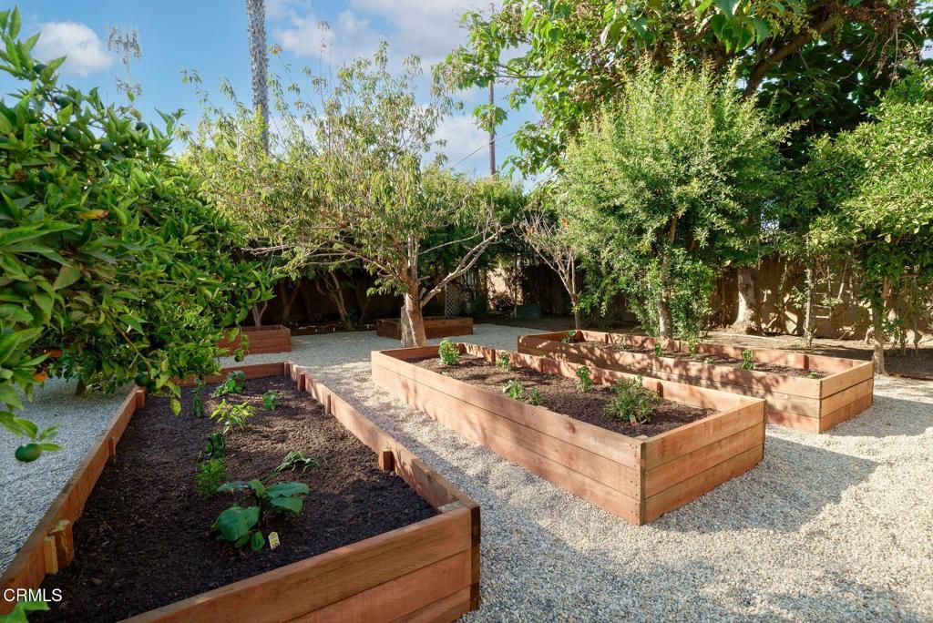 10047 Blackburn Road