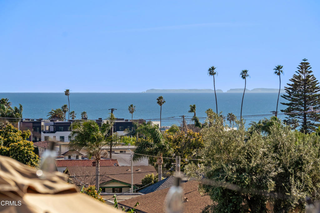 981 Poli Street