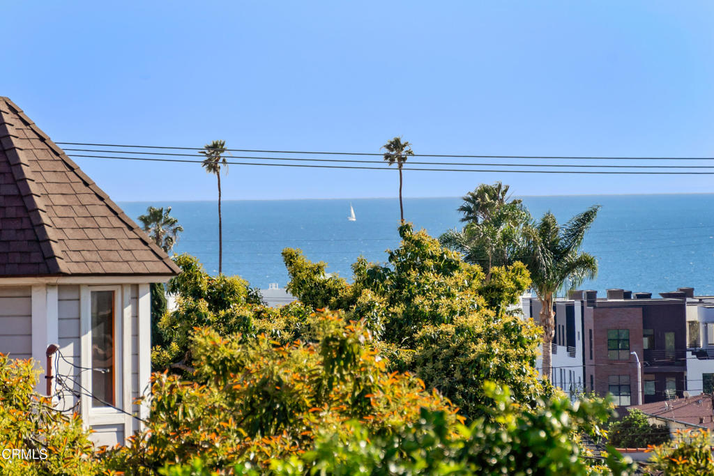 981 Poli Street