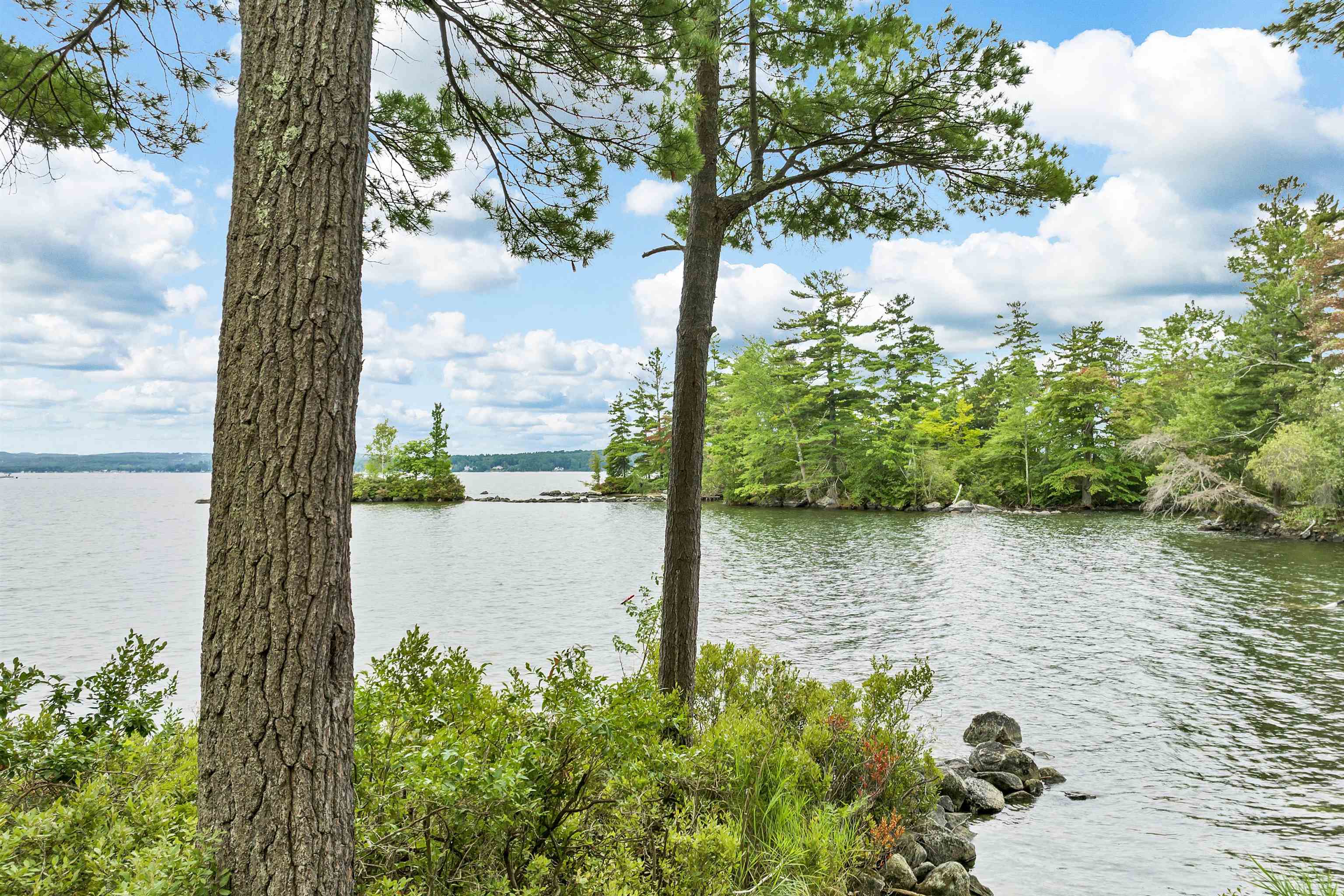 294 Bear Island