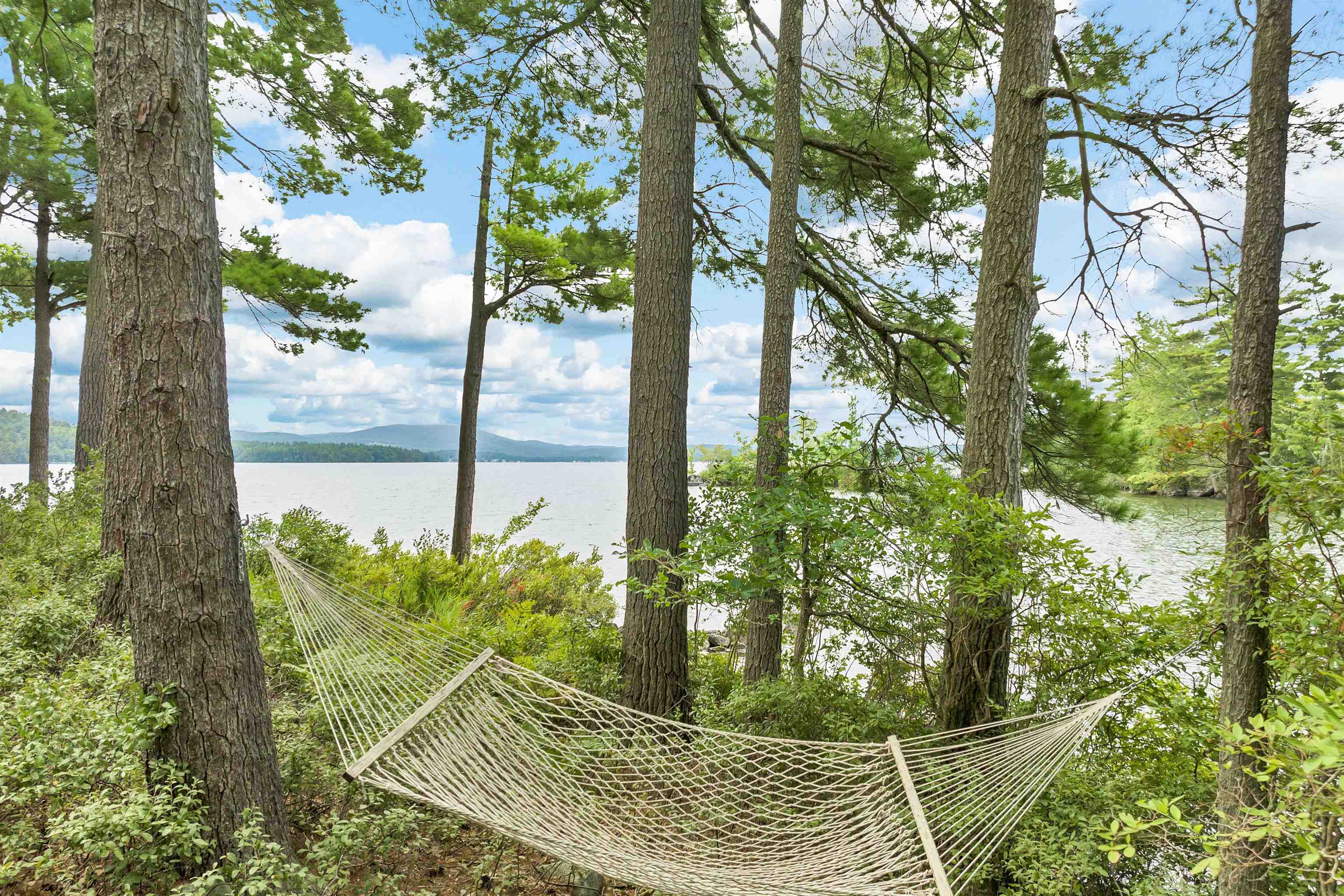 294 Bear Island
