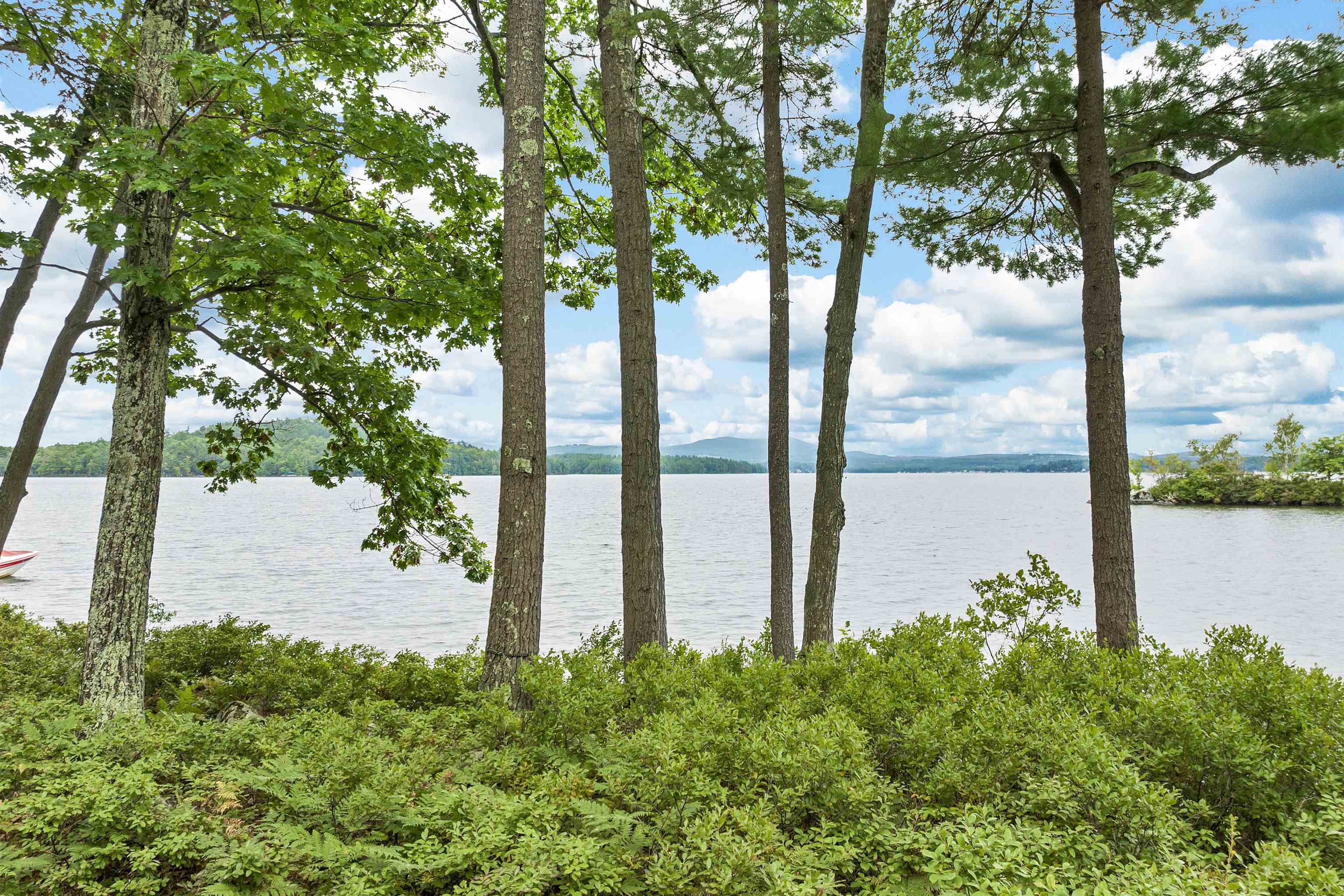 294 Bear Island