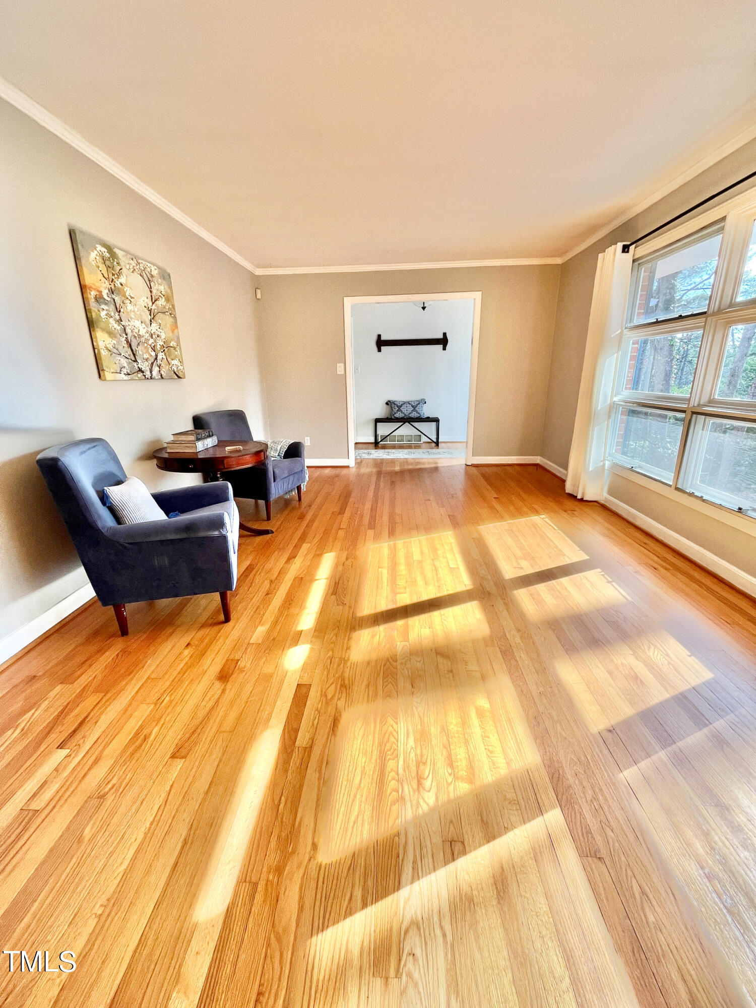343 Burlage Circle